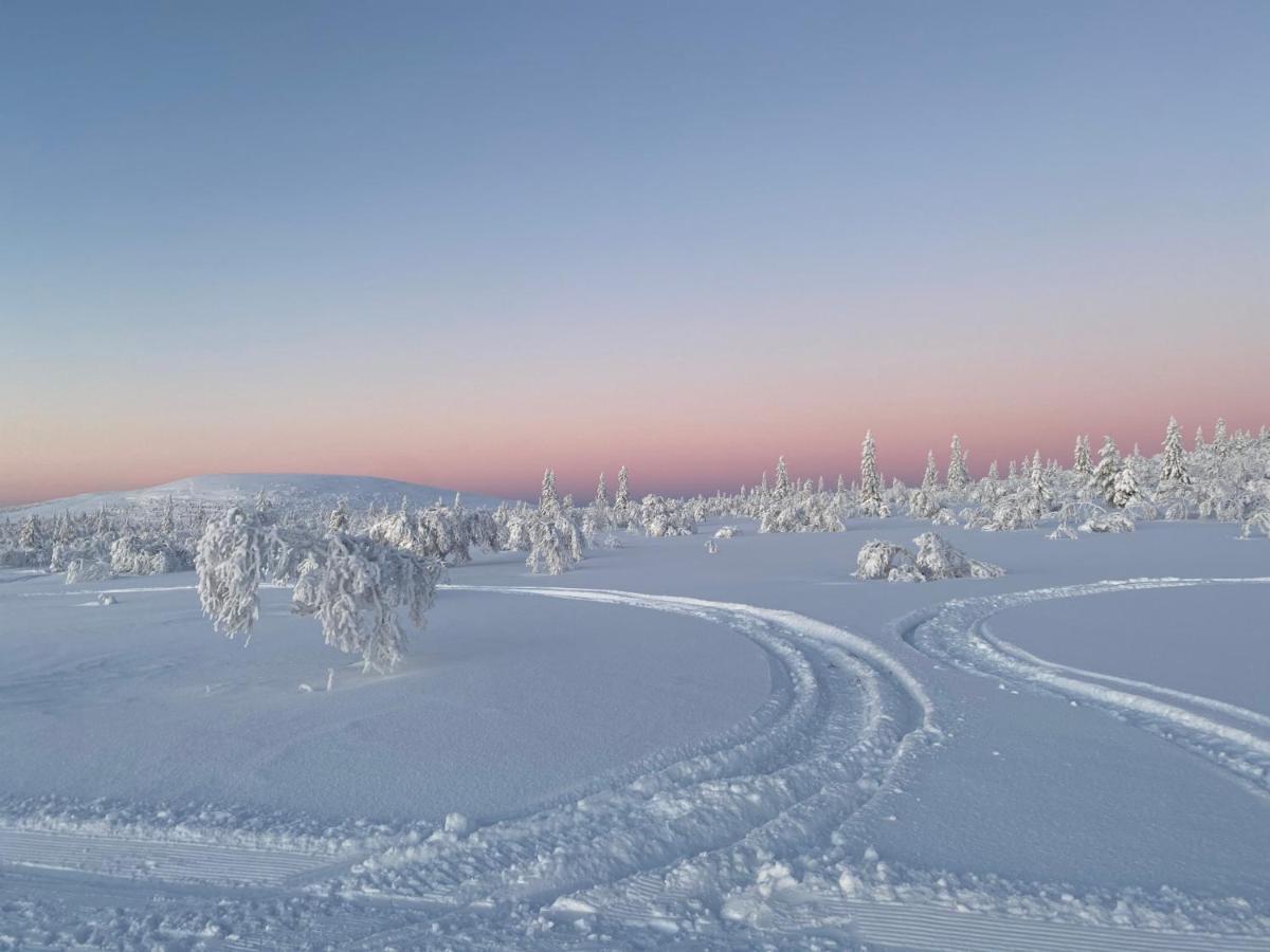 Nybyggd 8-Baeddars Skidstuga I Lofsdalen Exterior foto