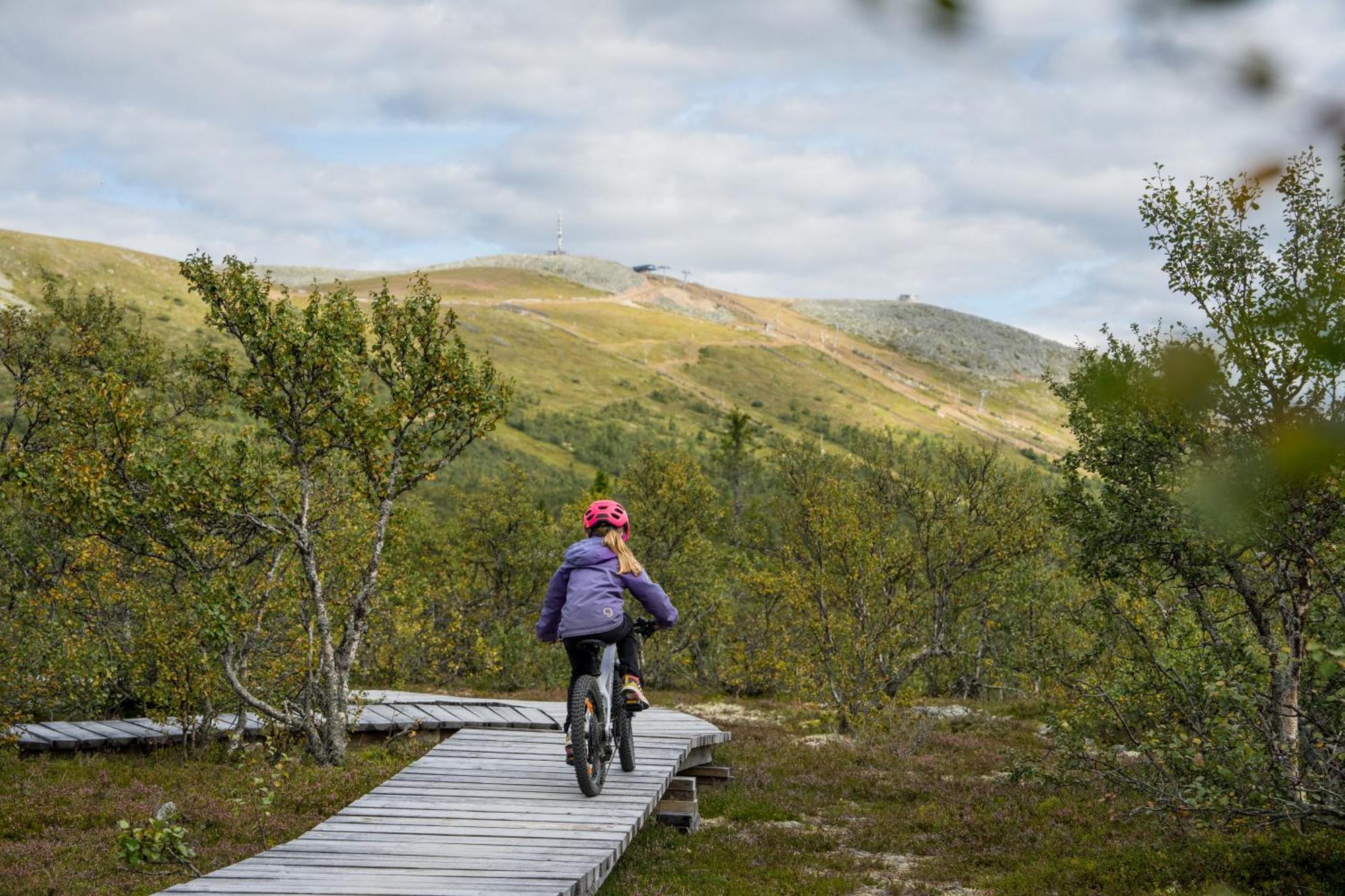 Nybyggd 8-Baeddars Skidstuga I Lofsdalen Exterior foto